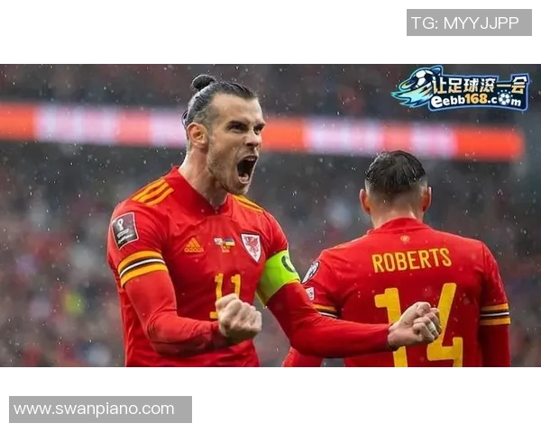 德国与威尔士足球比赛前瞻分析及胜负预测探讨 德国与威尔士足球比赛前瞻分析及胜负预测探讨